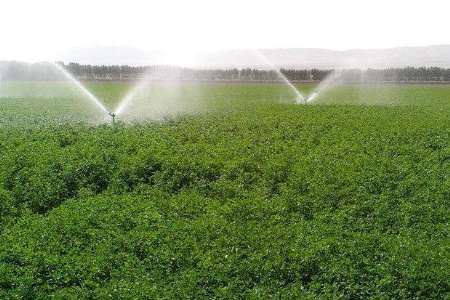 مصرف آب در کشاورزی- آبیاری بارانی