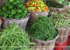 سبزیجات سالم با تغذیه کودی مناسب