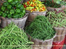سبزیجات سالم با تغذیه کودی مناسب